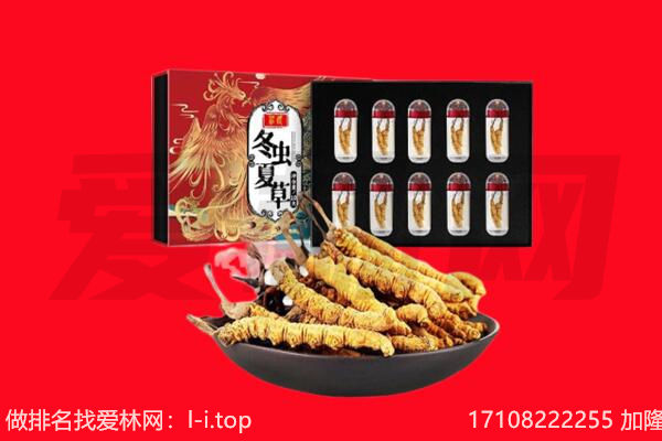 三门峡市义马回收虫草.jpg